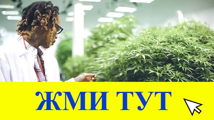 Купить наркотики в Ростове